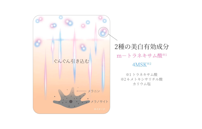 HAKU-Melanofocus-EV-3