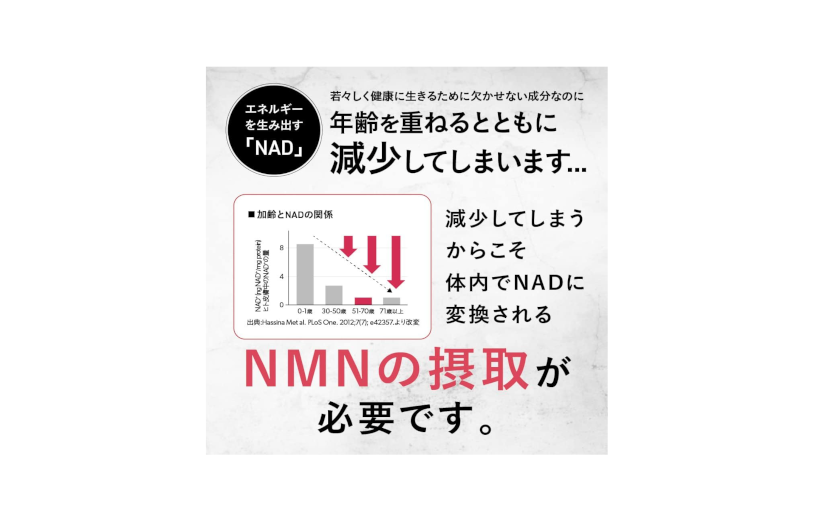 nmn-taisho-3